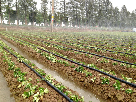 微喷灌溉多孔管