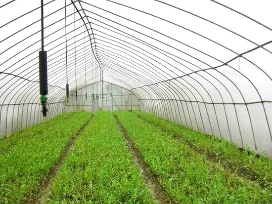 大棚蔬菜灌溉设备